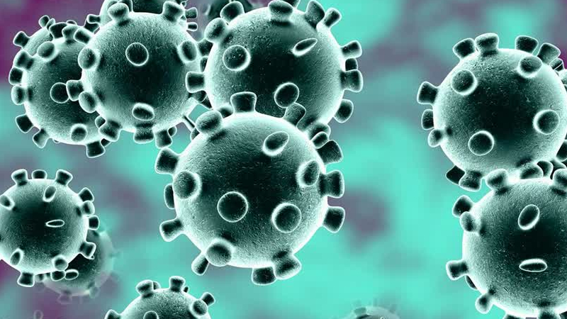 Coronavirus 4 Besmettingen In Peel En Maas